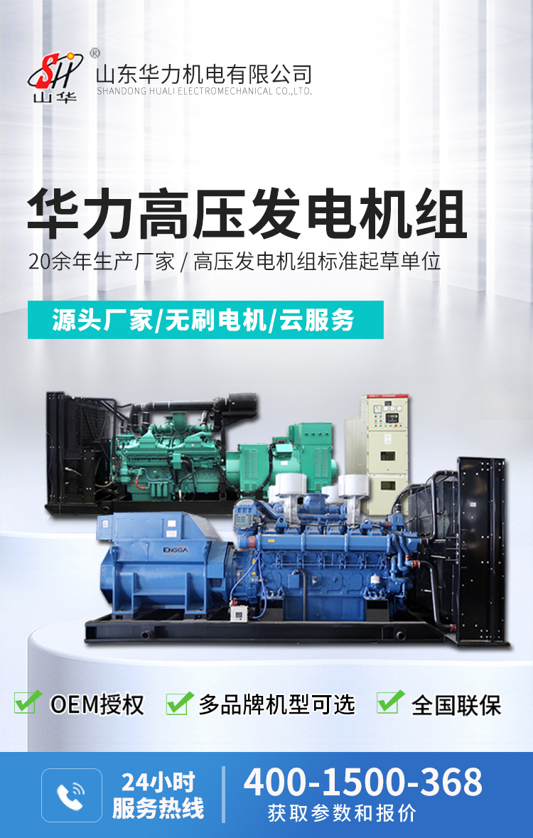 高壓輸出型發(fā)電機組 \